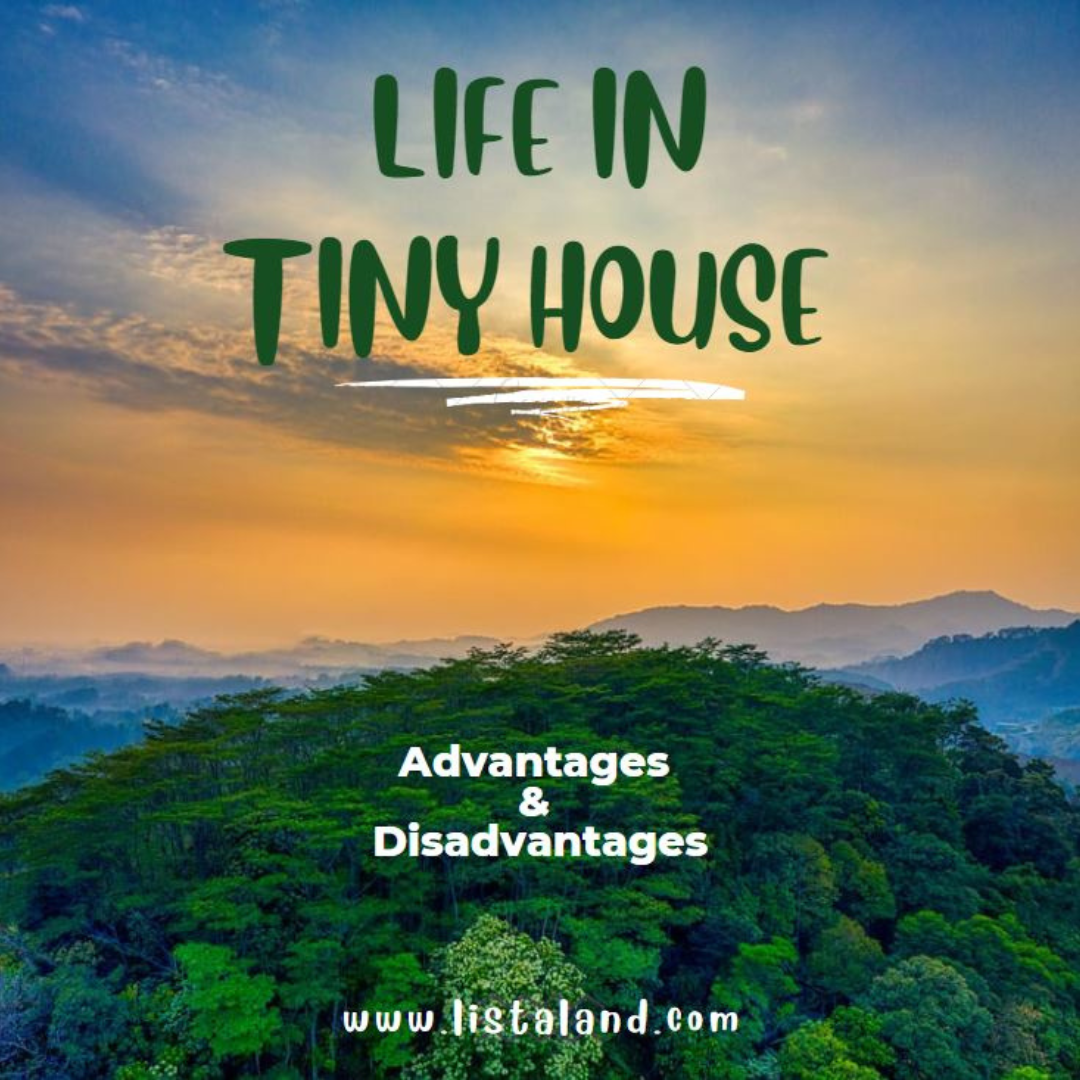 what-are-the-advantages-and-disadvantages-of-living-in-a-tiny-house